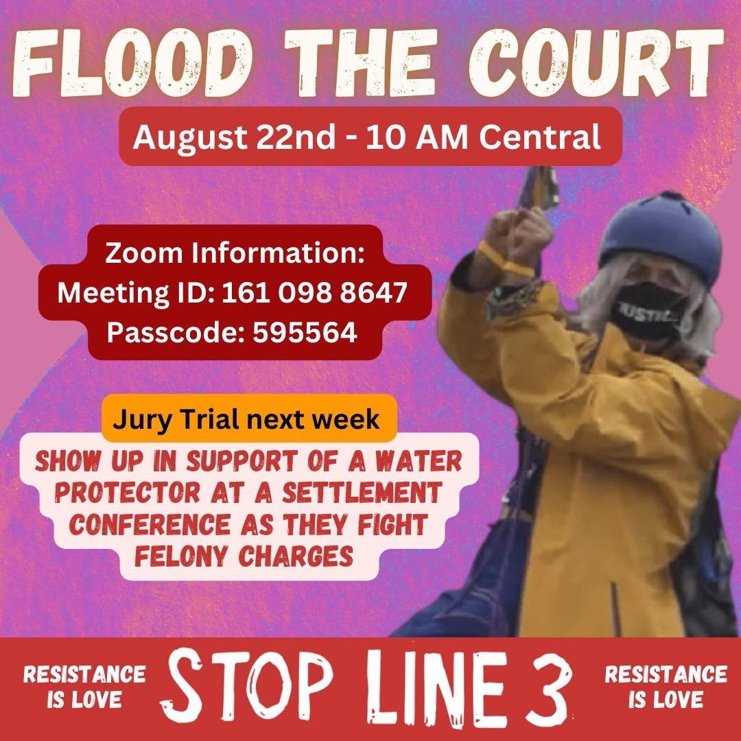 Pretrial hearing 10am Central  for a defendant fighting felony charges in aitkin county mn. Topics will include sheriff mis/conduct and livestreaming the trial next week. 

Defendant is asking folx to flood the courts. #StopLine3 #DropTheCharges #WaterIsLife