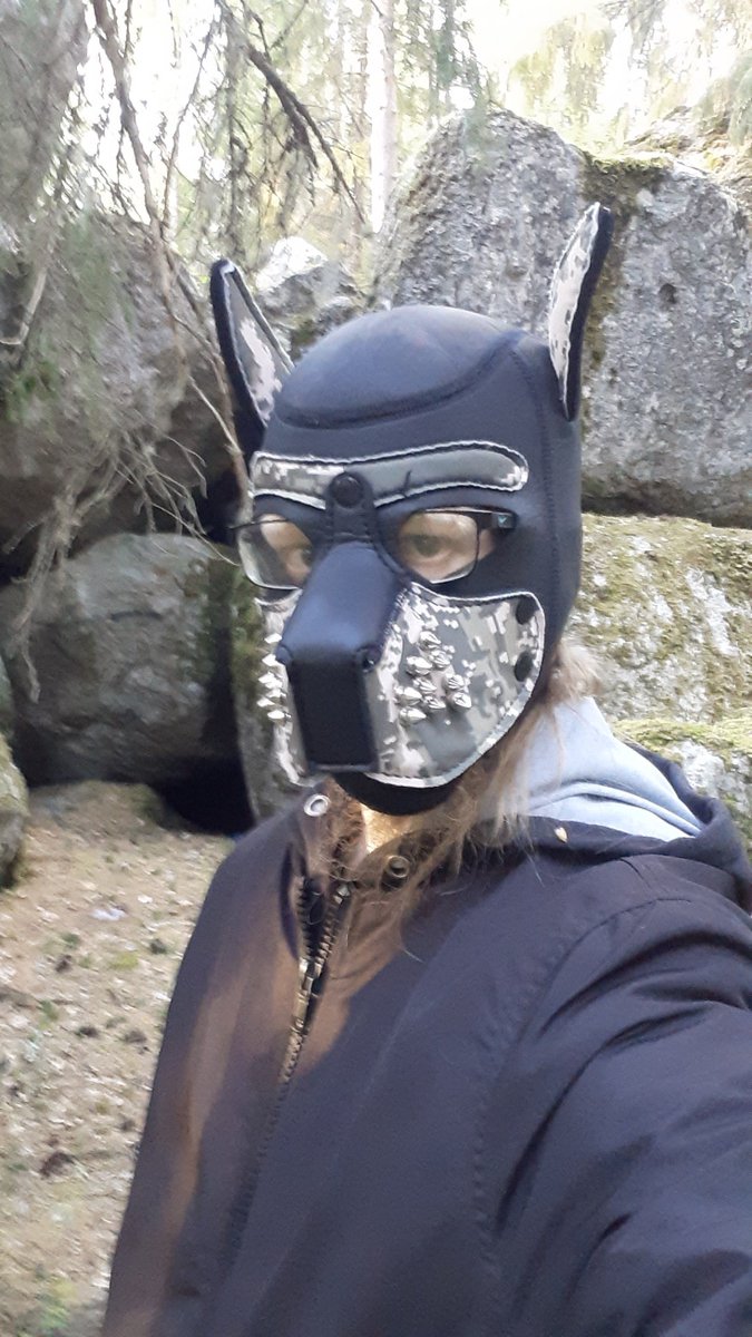 Finpupboy tweet media