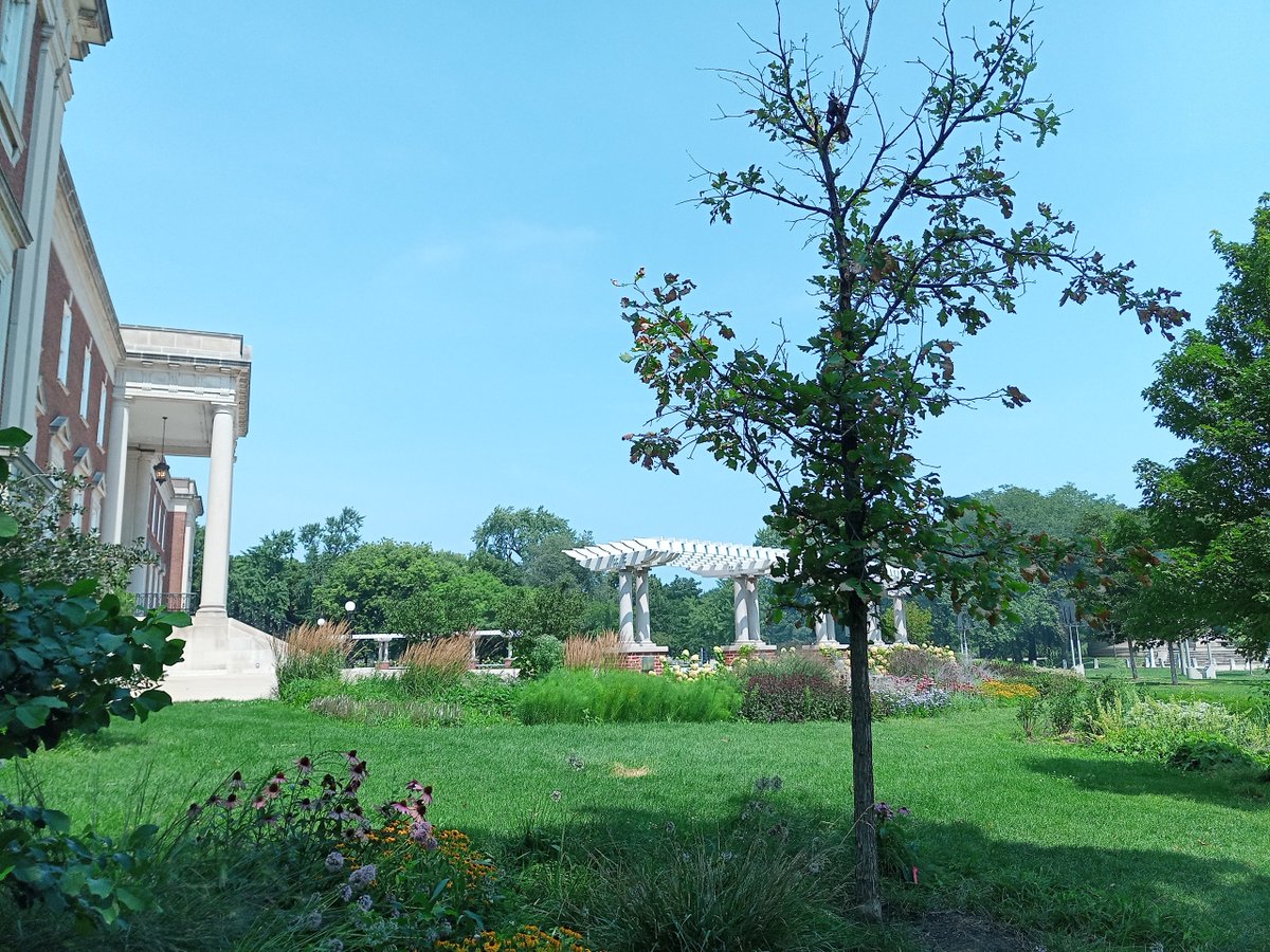 ChiCommons Cooperative tweet media