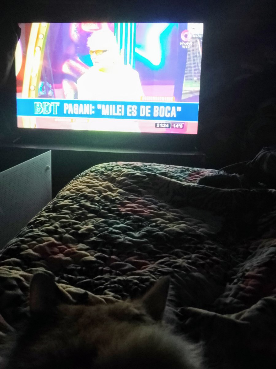 AnaAgueroMDP's tweet photo. @BenditaOk 
En la cama con mi gatita viendo el mejor programa de tv. Saludos desde Mar del plata! AGUANTE BENDITA!! https://t.co/MaEQL2DuXP