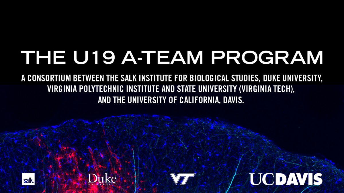 Salk Institute tweet media