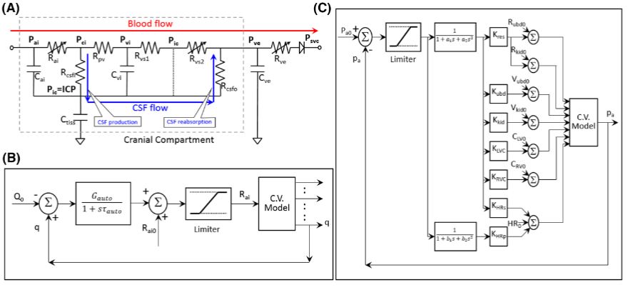 ArtifOrgans's tweet image. Impact of #ContinuousFlow #MechanicalCirculatorySupport on #CSF motility
👉tinyurl.com/3sjkvnjt
@UDelaware @DrexelUniv @TJUHospital #BloodPump #VAD