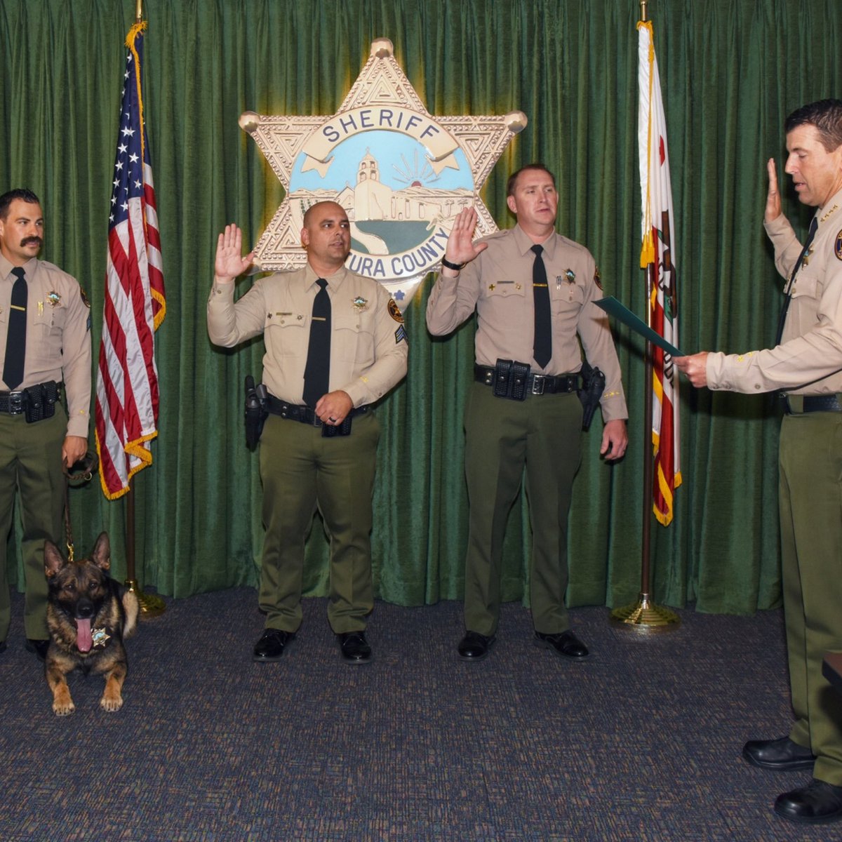 VENTURASHERIFF's tweet image. The best way to start the week! 🙌 

Please join us in congratulating Anthony Goldner (and K9 Thor), Tom Fuchs, Jason Cashmark, Wendell Campbell, and Charles Lombardi on their promotions to Senior Deputy! Thank you all for your dedication and service to our agency and community.