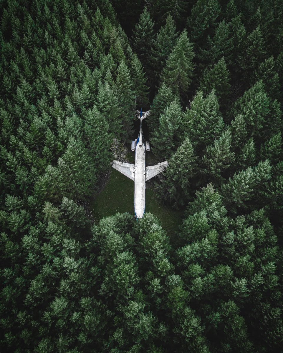 Lost in the Forest by <a href="/braybraywoowoo/">brayden</a>