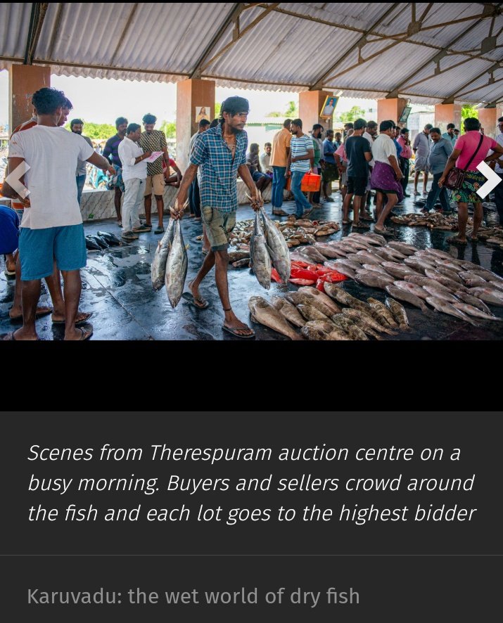 AparnaKarthi's tweet photo. And here it is, the Karuvadu story. 
From Thoothukudi, Tamil Nadu. Where the salt &amp; sun preserves fish &amp; lives. Photos by the fabulous @chempkumar. My series Let Them Eat Rice on @PARInetwork is supported by a research grant @azimpremjiuniv
Pls read/ RT 🙏🏼
https://t.co/OMf2xcOXKr https://t.co/88l5G4DESe
