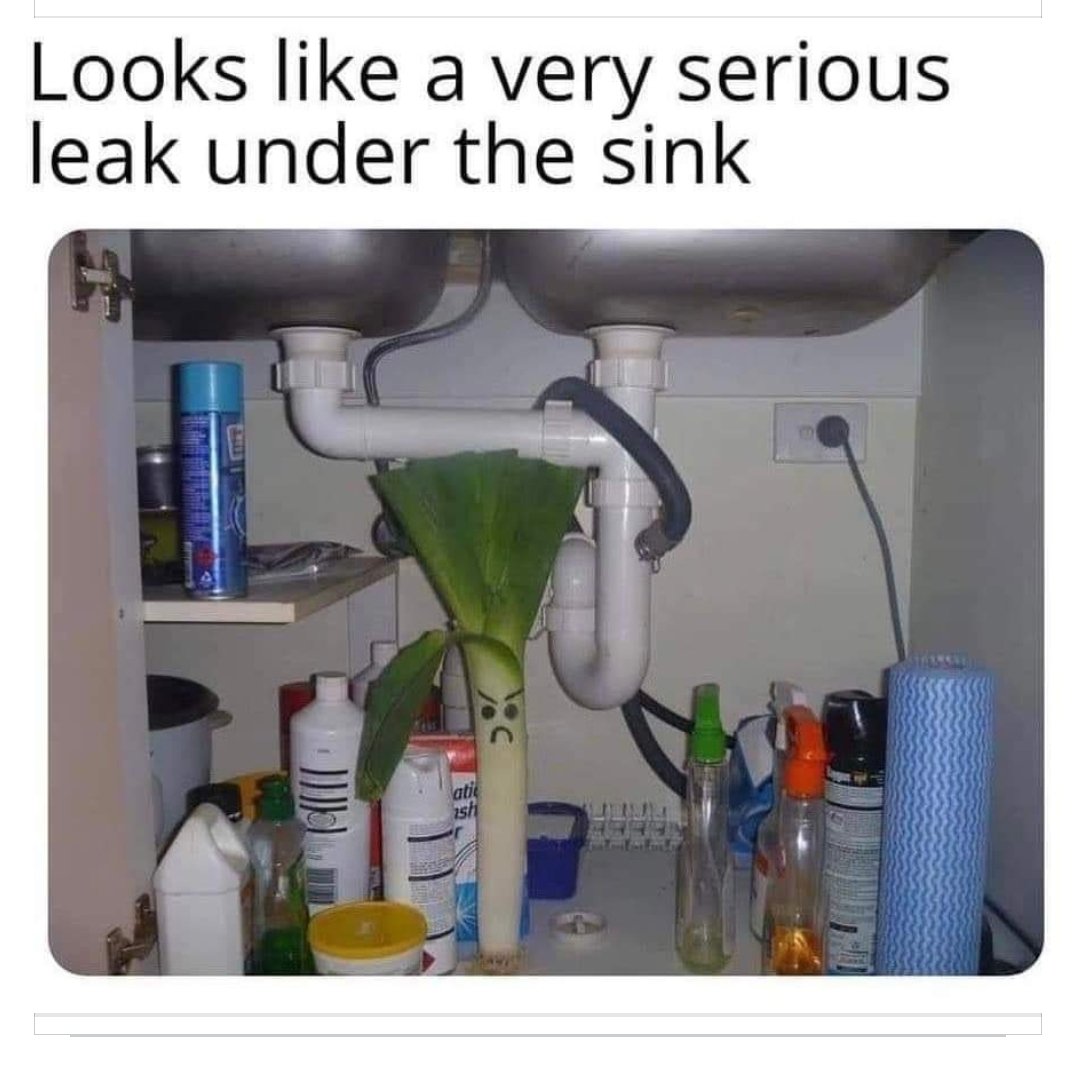 FearTheSkirt's tweet image. THIS cracked me up! #weirdhumor