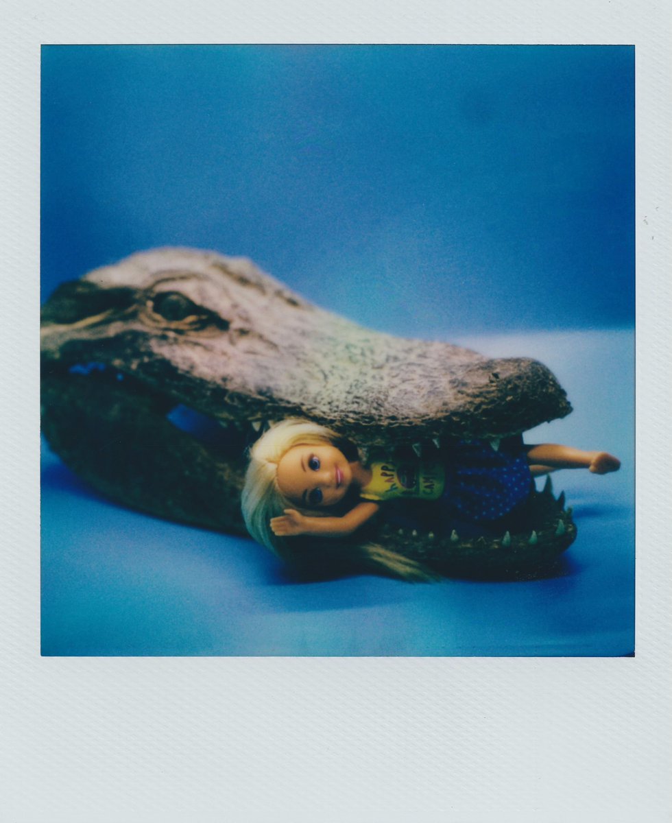 Alligator Tears: 

Chomp Chomp 

#Polaroid #InstantFilm #analog #film #Alligator #doll #NFT #NFTphotography #CryptoArt #ArtIsResistance #m0niqueXOXO