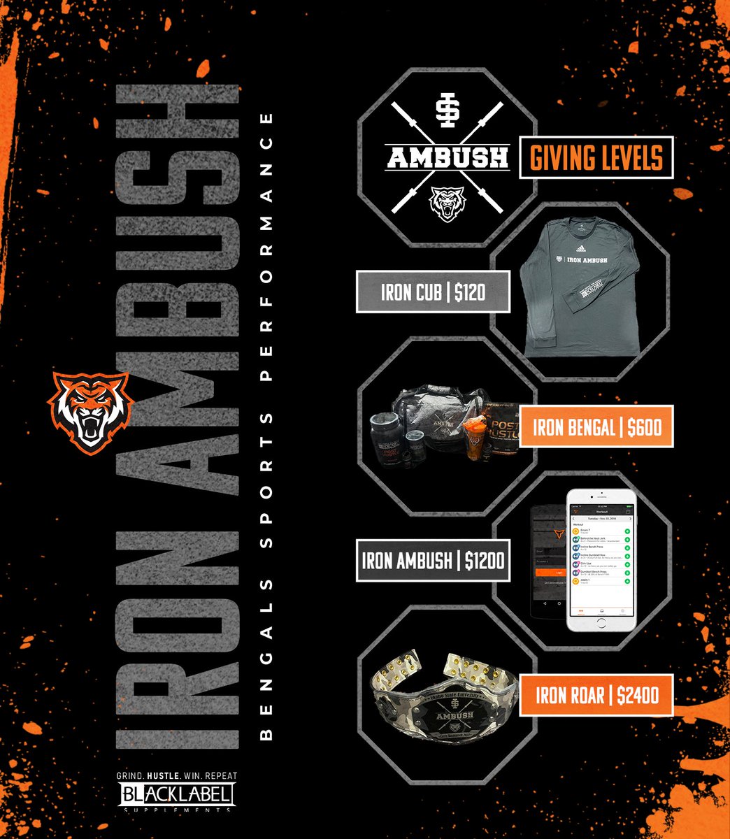 Coach_BStevez's tweet photo. 🚨FINAL WEEK🚨 of the #prepare2roar campaign!

So why not consider joining the @ironambush 🤷🏻‍♂️ 

🥉$100: Iron Ambush T-Shirt

🥈$600: Gym Starter Pack +🥉

🥇$1,200: Access to your choice of training program via ISU @teambuildr app +🥈

🏆 $2,400: Custom Club Member Belt + 🥇 https://t.co/AV75t6cvMP