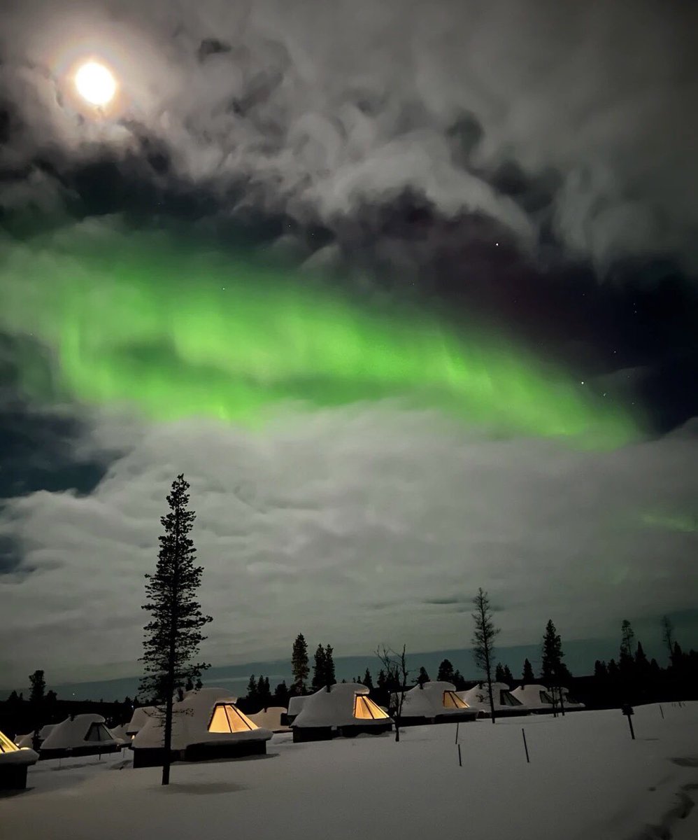 xballmr's tweet photo. Aurora in Finland 🇫🇮#Photography #Travel #Finland https://t.co/8l4xLlDiQt