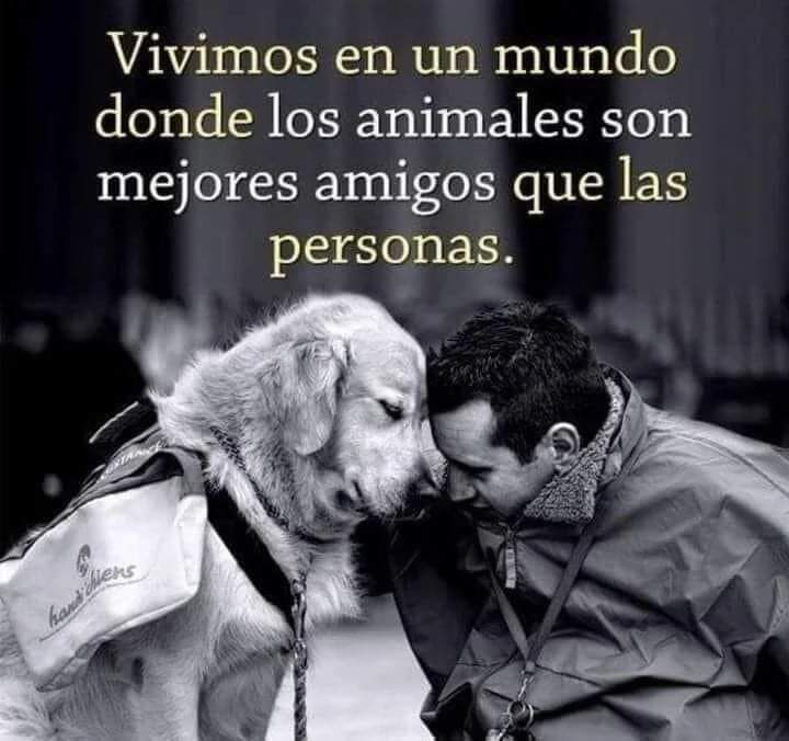 Buenas noches ✨💖