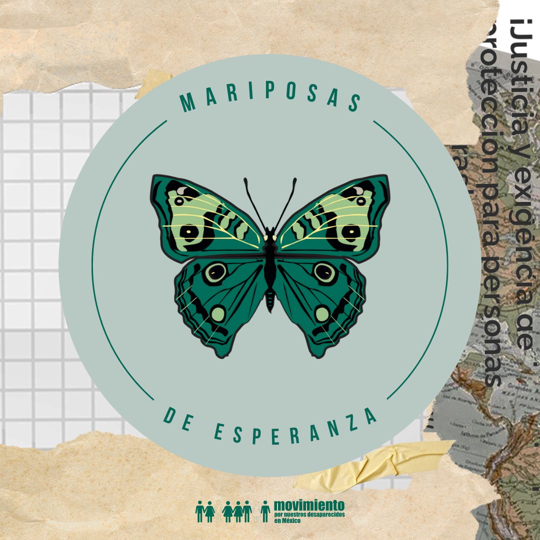 movNDmx's tweet photo. #MariposasDeEsperanza: La búsqueda continúa, la esperanza persiste. https://t.co/JwLyibmwUO