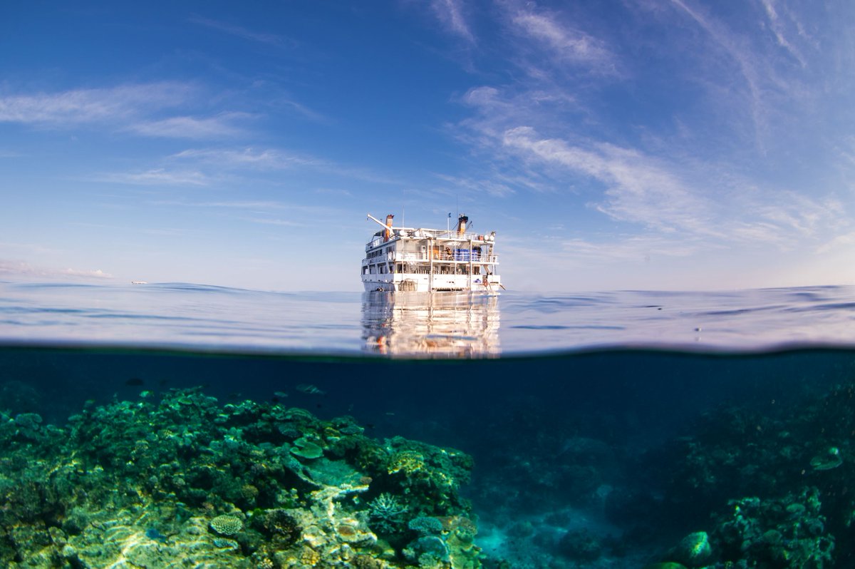 🌊 Dive into the Depths: Explore the Great Barrier Reef with #ReefEncounter! 🐠Immerse yourself in the wonders of the world's most iconic coral Reef. Join us for unforgettable snorkelling and diving experiences that will leave you awe-inspired. Let's dive into adventure together!