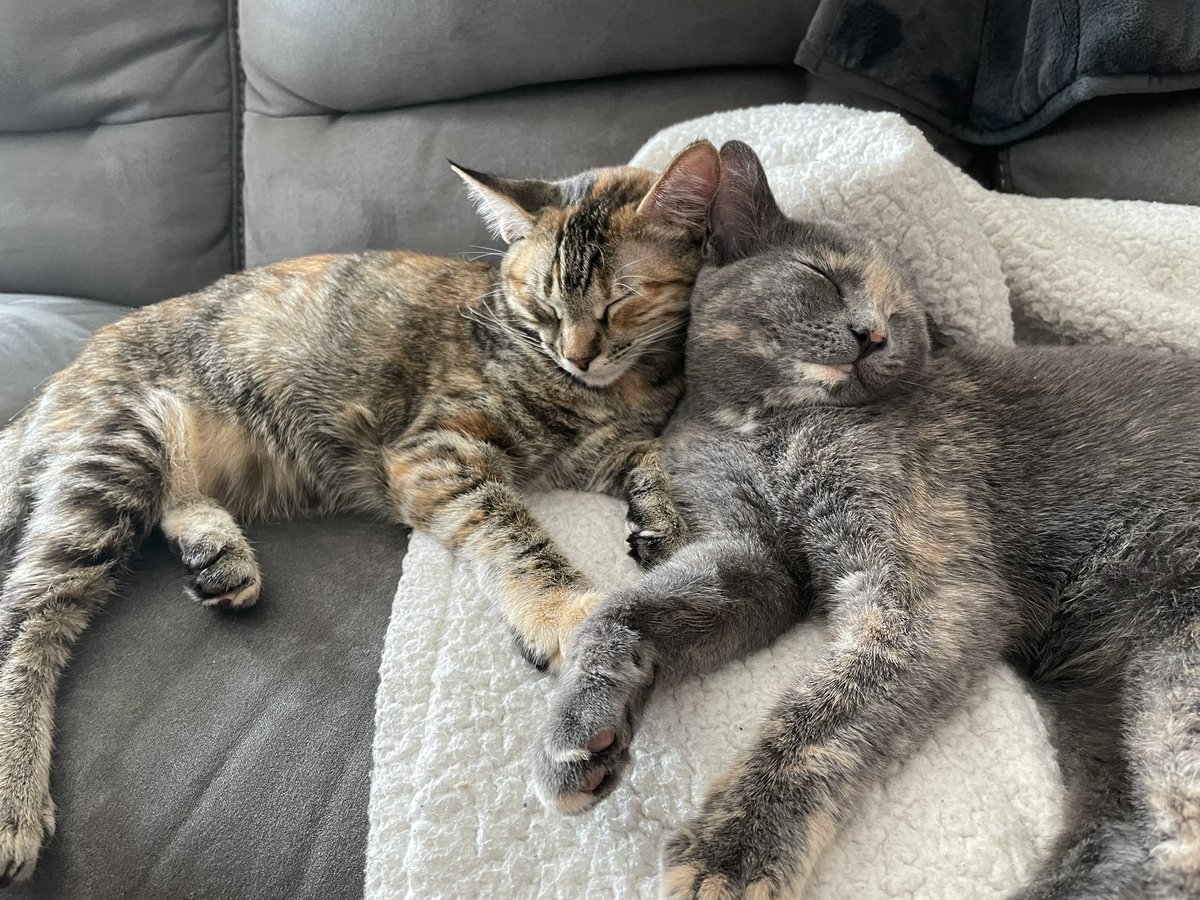 jbyrneee's tweet photo. my august and betty respectively https://t.co/skdlX9MrzZ
