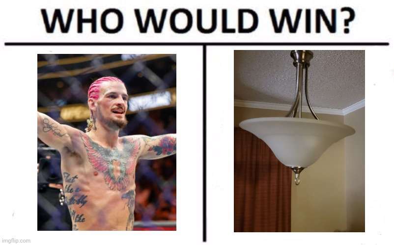 TheRealVrix's tweet photo. Both are undefeated. https://t.co/KmNsZHWO8P