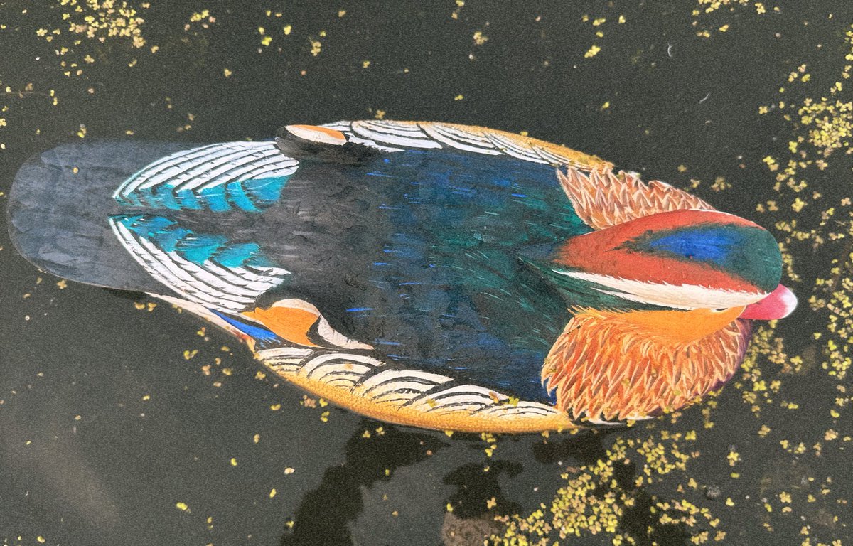 jimmysmolenski's tweet image. Made this