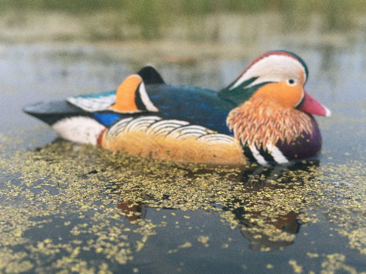 jimmysmolenski's tweet image. Made this