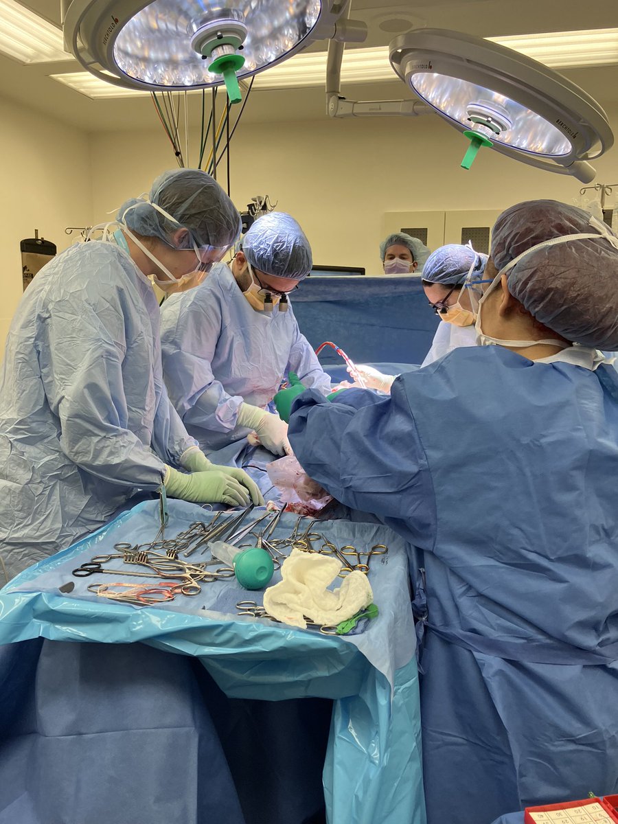DanielGJovin's tweet photo. From STEMIs in the ED to CABGs in the OR and CAD on the Cardiology service earlier this year, excited to go from bedside to bench. Day #1 of the PhD today and looking forward to exploring some new vascular biology in the @GreifLab #doubledocs #medstudenttryingtolookusefulinOR https://t.co/0k138UbJLf