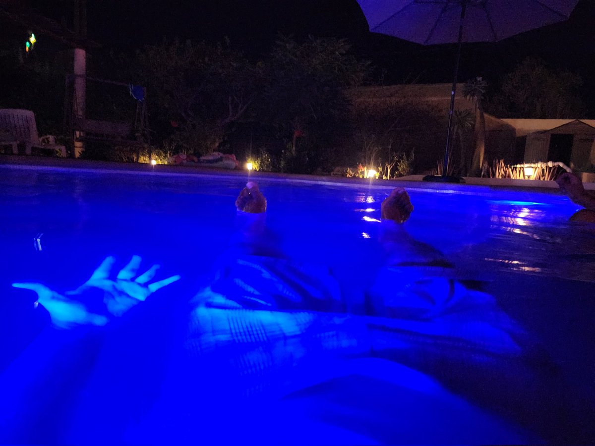 AzTeKWolF tweet media