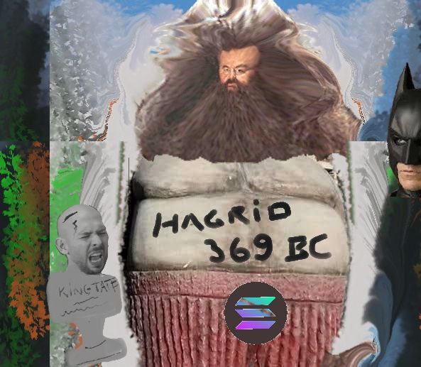 hatb369inuarmy's tweet photo. @CryptoGodJohn Let’s get it! ATH incoming! $sol @hatb369inu https://t.co/1lJavxttz4