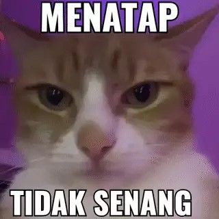 ptlysn's tweet image. meme cemburu 

— a thread