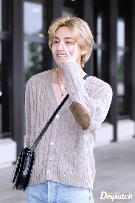 Vの写真