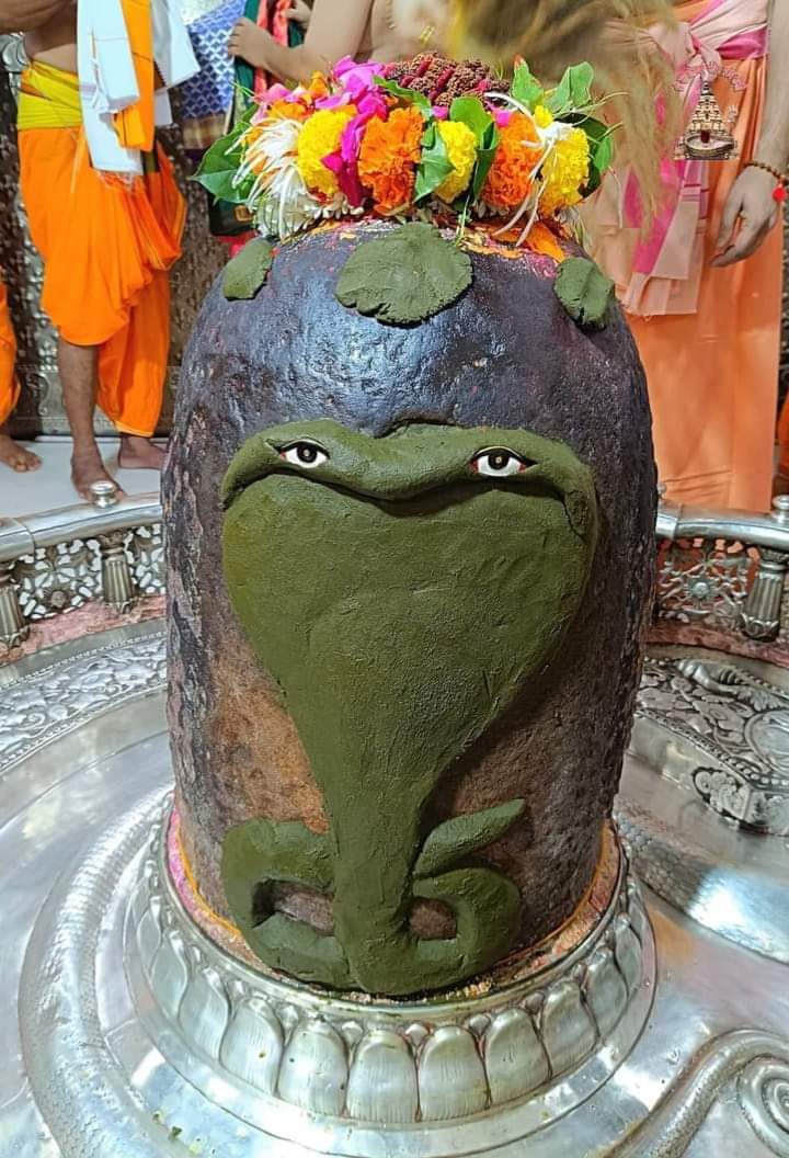 DrCharudatta pingale tweet media