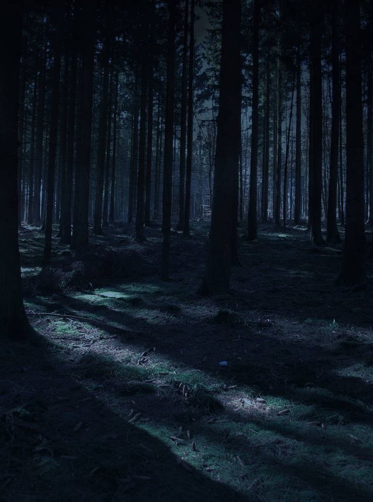 night walk. 

♯𝗕𝗲𝗠𝗼𝗻𝘀𝘁𝗲𝗿