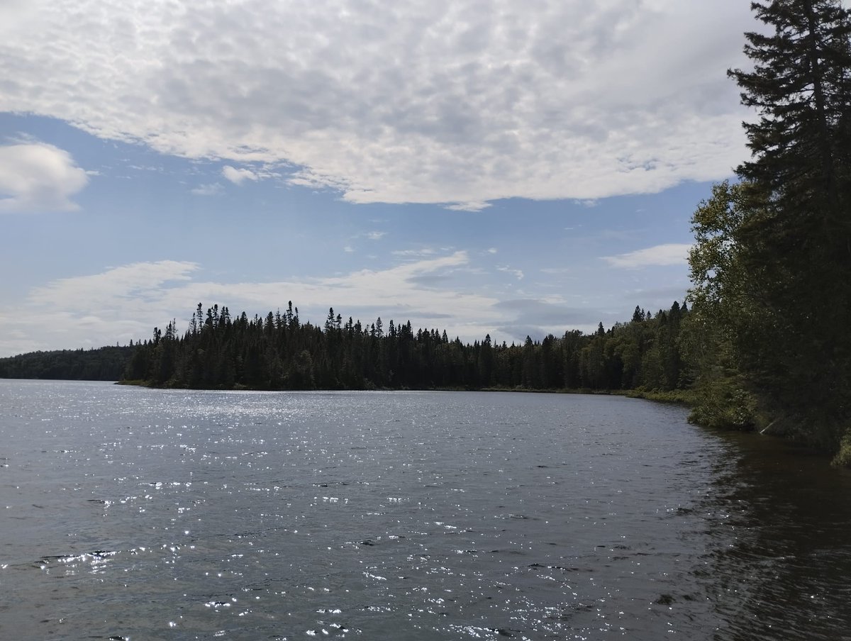 First week of <a href="/CA_Cleanforest/">CLEANFOREST COST Action</a>  STMS concluded with exciting field walking in temperate #ForêtdenseignementetderecherchedeSimoncouche.
A transition ecotone zone with yellow birch, black spruce, balsam fir, Aspen and large variety of fungi!