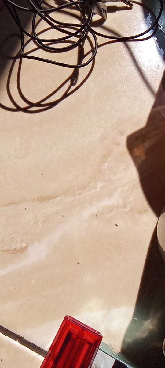 Damar Dewanto (@damardewanto) on Twitter photo 