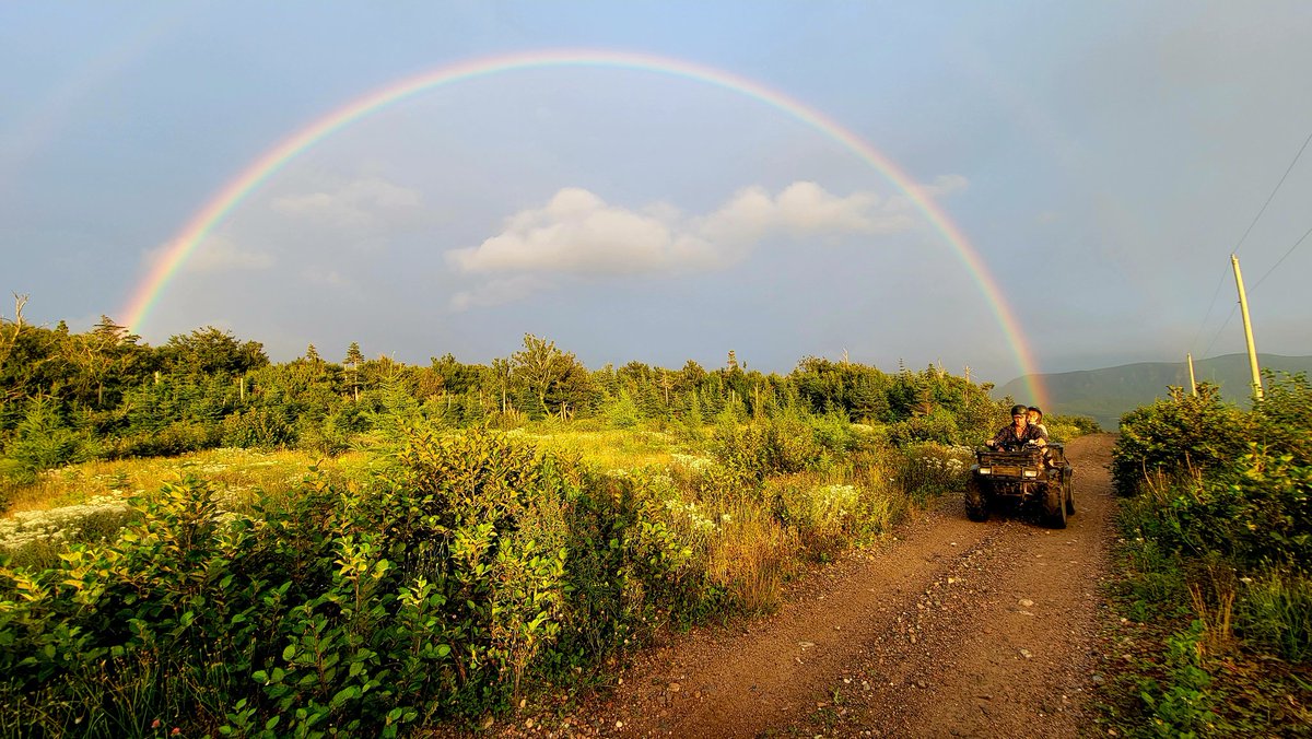 Captured at the perfect moment.