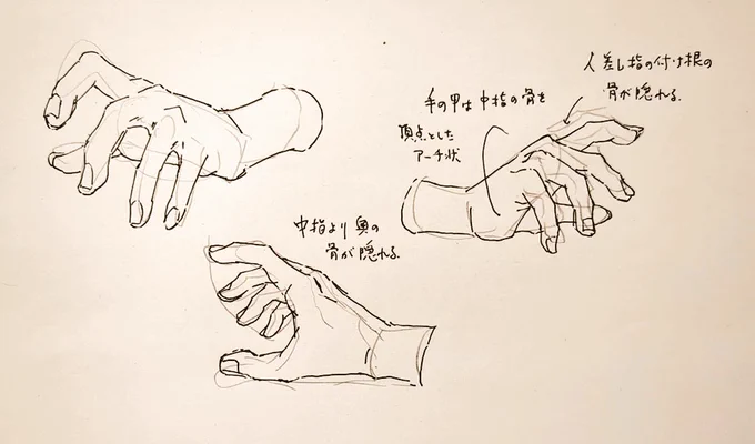 #1日1模写 Ⅲ 238/365
今日はお手手でした✨
ふるいけ様のイラスト参照です。 