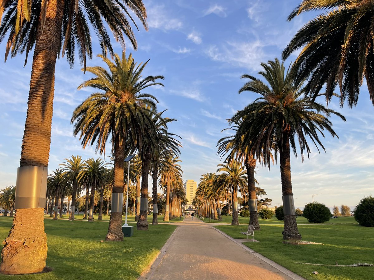 Szymon Sobczak tweet media