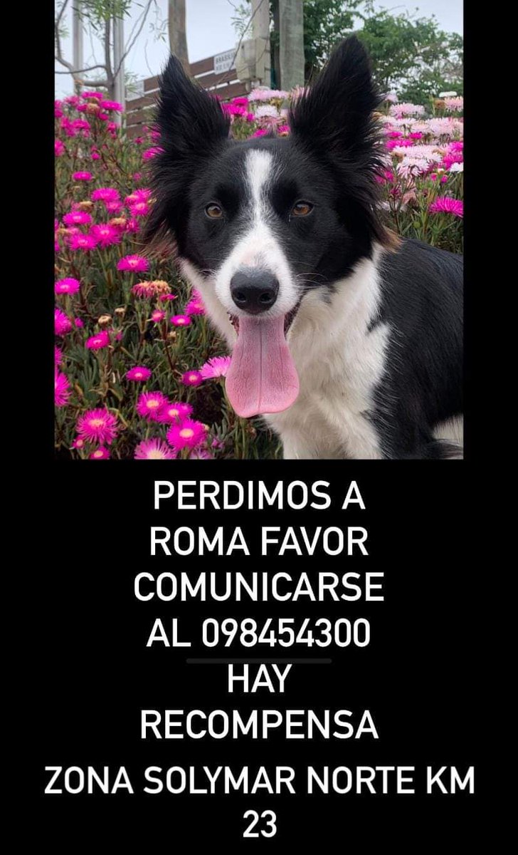 Se busca !