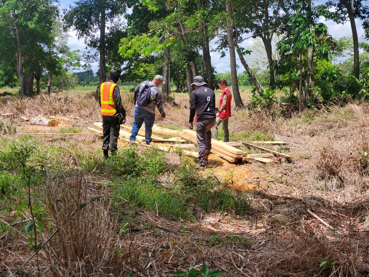 FFAAHN's tweet photo. Personal del Segundo Batallón de Protección Ambiental, en apoyo a #ICF y #FUCSA mediante patrullaje, realizaron el decomiso de 818 pies tablares de madera de Laurel, en el sector de San Francisco, Atlántida. La madera fue entregada al #ICF para realizar el proceso de ley. https://t.co/hsQArkkkPd