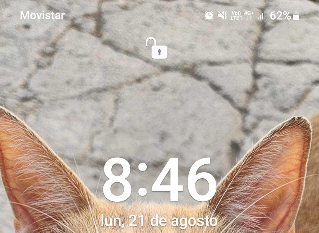 Fatima6MM's tweet photo. Entonces Dios bajo y volvio a darnos red Movistar https://t.co/5iRWGjudB5