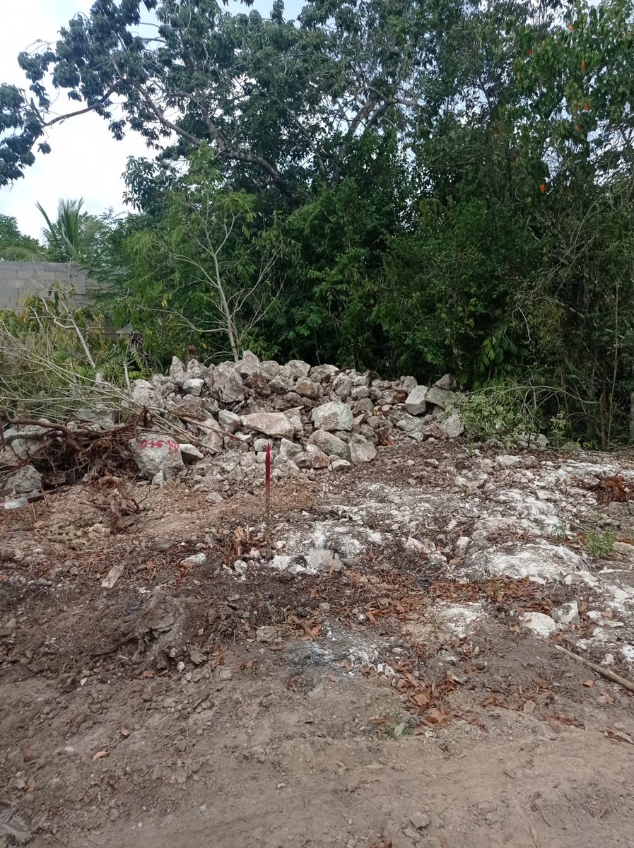 Con_CIENCIA_MX's tweet photo. @TrenMayaMX ¿Para proteger en suelo kárstico? 🤣🤣🤣 ni la burla perdonan, esa ocurrencia surgió después de devastar la selva y cuando encontraron cientos de cuevas y cenotes y ya no supieron que hacer, no existe en la MIA que presentó @FonaturMX a @SEMARNAT_mx 🤦‍♀️ @PROFEPA_Mx @TabascoJavier https://t.co/vGYQCu9HiN