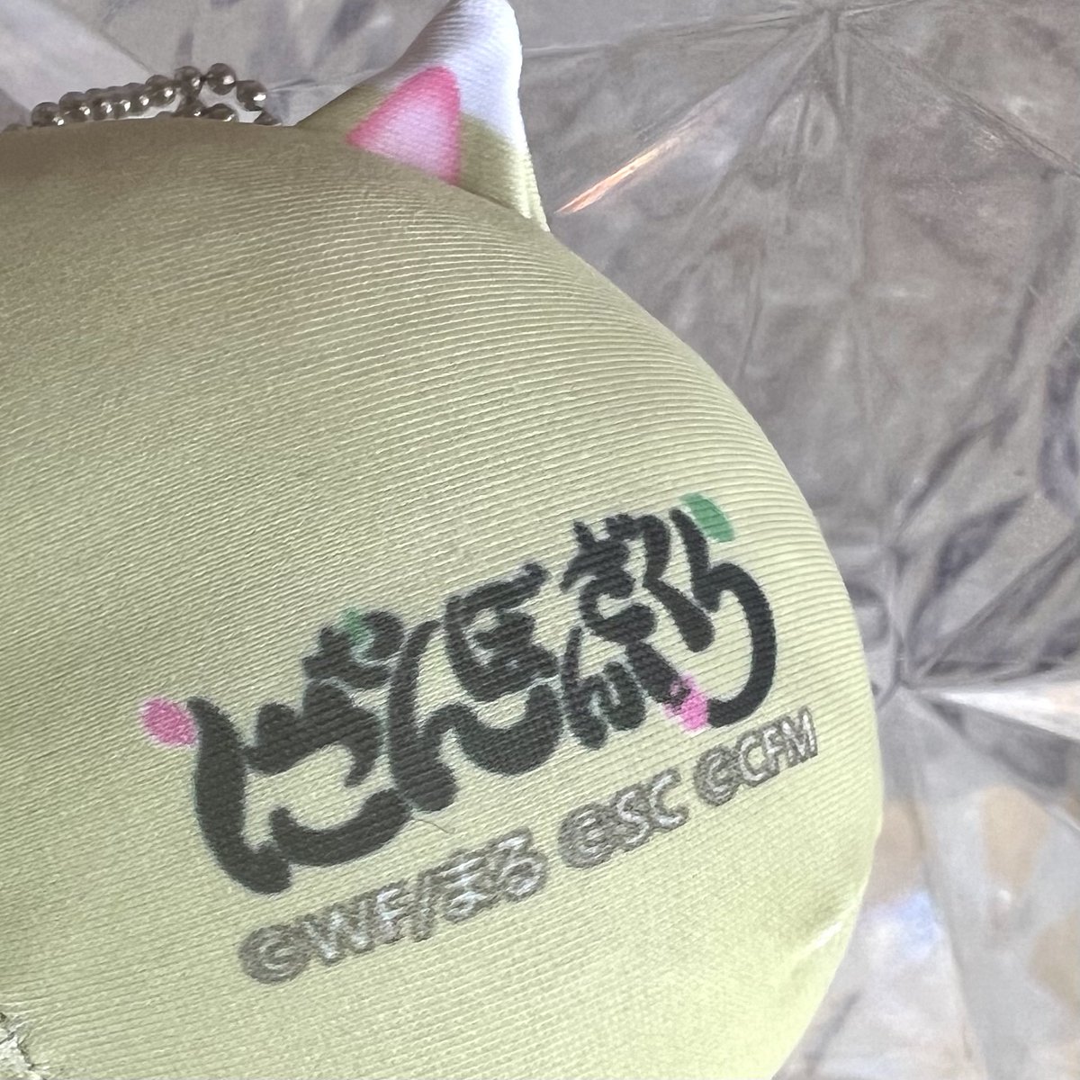 にゃんぼんざくら 公開記念8月キャンペーン‼️ 🐱🌸グッズを🎁 ○応募