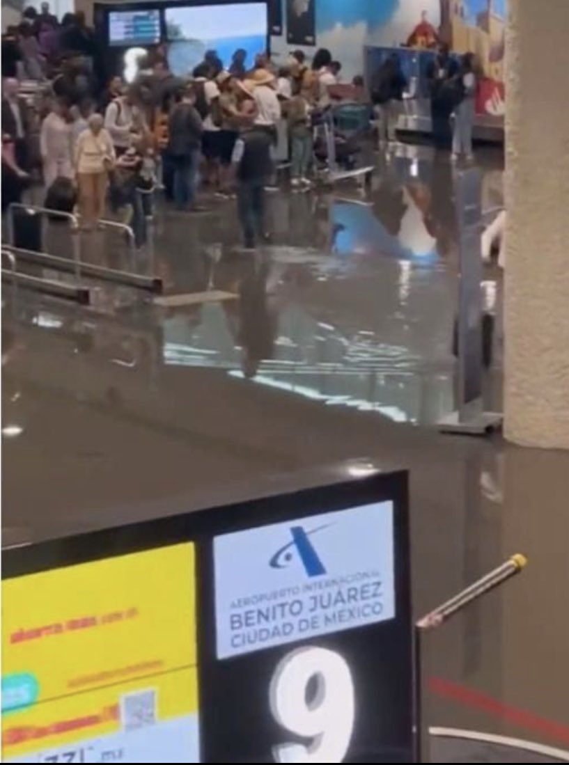 El Metro y el AICM inundados 😐

Aunque se enojen cuando se los digo: Estaríamos mejor sin morena y López obrador.