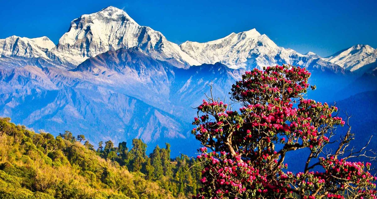 uatcnews's tweet photo. Surrounded by snow-capped peaks, the stunning vistas of Dhulikhel attract you to experience magnificent sunrise and sunset in the Himalayan while trekking. Take you to where the mountains touch the sky. Surrender to Dhulikhel, it wants to captivate your soul!🏔️#BornforAdventure https://t.co/Eg4XM3PRWS