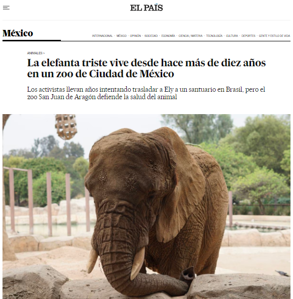 YoAmoaLaCiencia's tweet photo. «Uno de los niños, apoyado sobre la baranda que separa a Ely de los visitantes, dice: “Está triste, papá”. Su padre contesta un largo “sí”, pero casi no le mira, tiene los ojos fijos en los del animal.»

Te comparto un artículo del Periodista Daniel Alonso Viña para El País 👇 https://t.co/jtPmWpMUAb