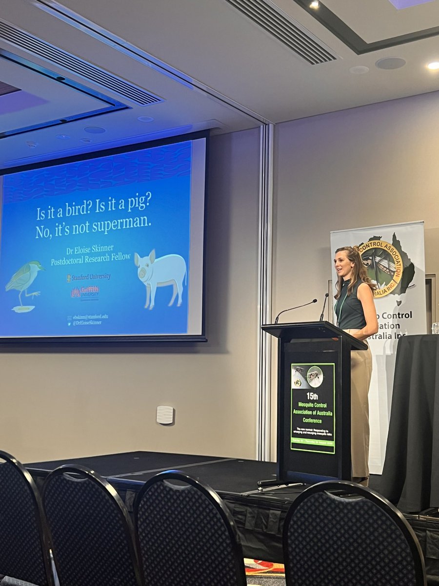 Not all hosts are equal - they have different roles, space and time, but #mosquitoes 🦟 may hold the key for closing knowledge gaps. An inspiring talk at #MCAA2023 from <a href="/DrEloiseSkinner/">Eloise Skinner</a> who makes meaningful research to contribute to our understanding in arboviral diseases.