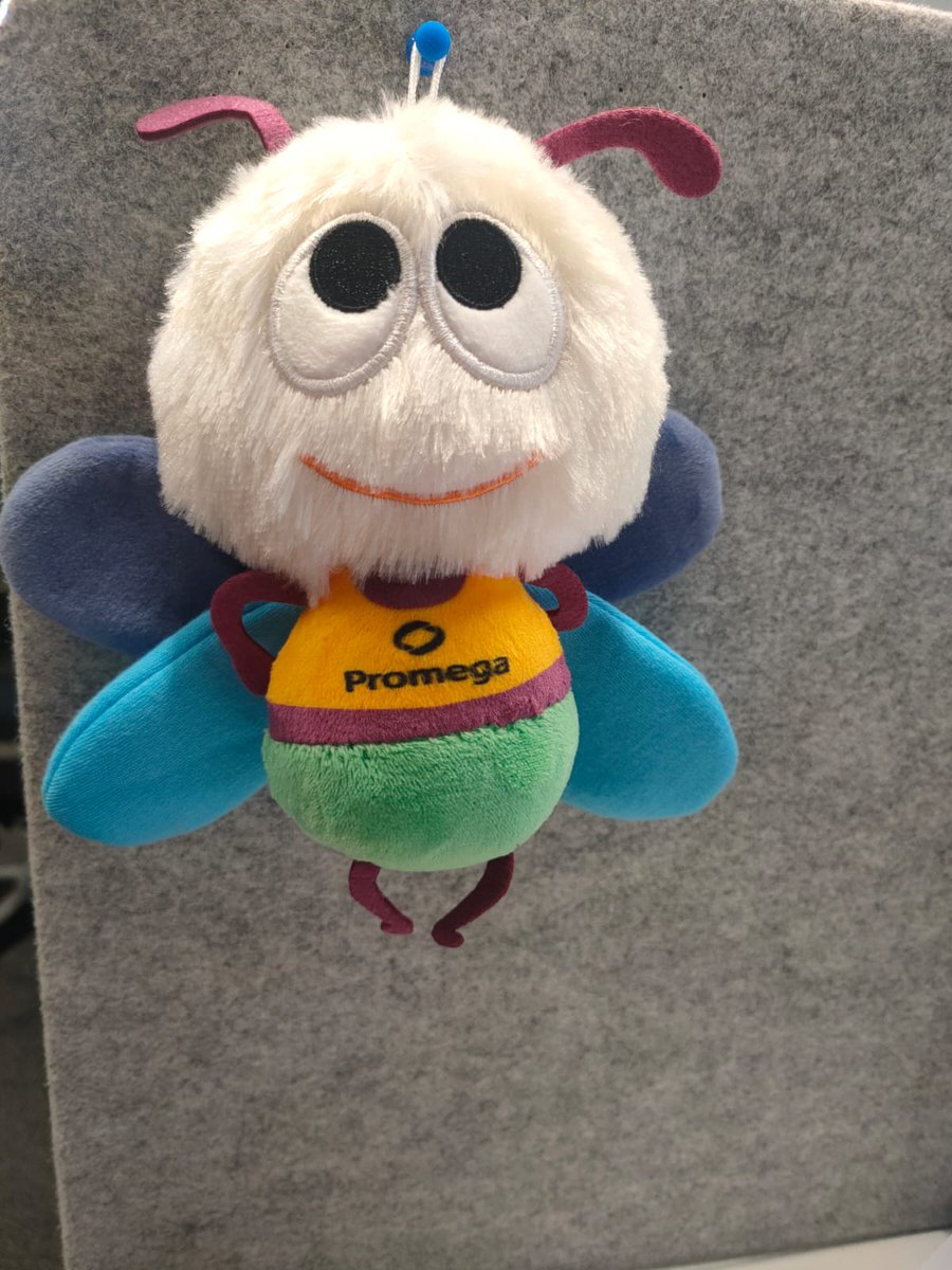Souha Youssef (@souhayoussef3) on Twitter photo My new friend from <a href="/promega/">Promega Corporation</a>! Winning entry for my biggest lab moment. We share successes, but rarely the failures that led us there. Frustrating as it may be, victory is sweet. To all those 'spooky' films I tried out in the lab, got my revenge😝👩🔬🎬
#PhD #research #WorkHard My new friend from <a href="/promega/">Promega Corporation</a>! Winning entry for my biggest lab moment. We share successes, but rarely the failures that led us there. Frustrating as it may be, victory is sweet. To all those 'spooky' films I tried out in the lab, got my revenge😝👩🔬🎬
#PhD #research #WorkHard