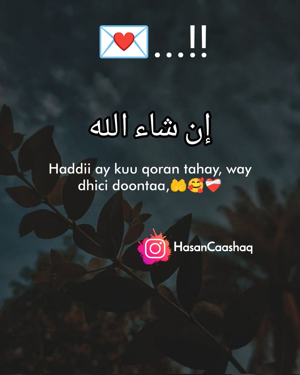 HasanCaashaq's tweet photo. Insha Allah ✨🤲
#Soma #Asake02Arena #حسان_هلالي #انش_اللة #Somali #quotes #Somalijobs https://t.co/R5b5hJcUXy