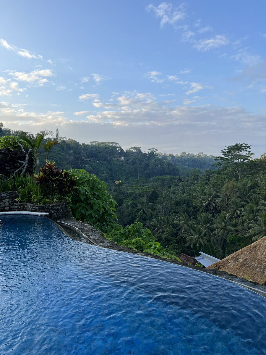 progressupdate_'s tweet image. 나 휴가 가면 개인풀 딸려있는 풀빌라는 하나 통째로 빌려줘야 하지 않겠어 생각했어. 

Pool villa with a view @ Royal Pita Maha