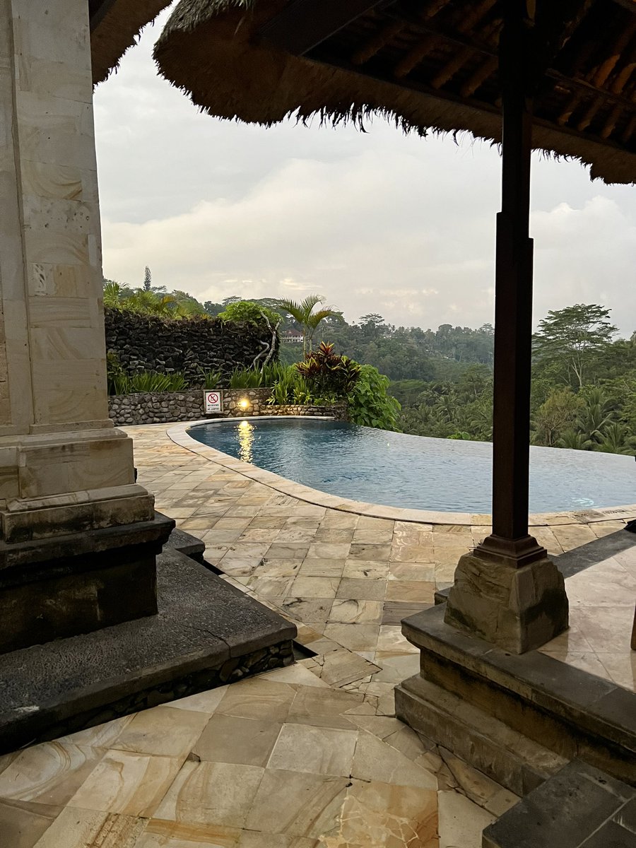 progressupdate_'s tweet image. 나 휴가 가면 개인풀 딸려있는 풀빌라는 하나 통째로 빌려줘야 하지 않겠어 생각했어. 

Pool villa with a view @ Royal Pita Maha