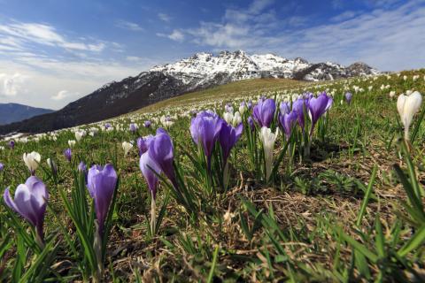 Il 60% - 70% dei suoli dell’UE sono attualmente malsani: ogni anno 1 miliardo di tonnellate di suolo viene spazzato via dall’erosione. Per combattere queste criticità la Comunità Europea ha individuato misure per un uso sostenibile delle risorse naturali ➡pdc.mite.gov.it/it/green-deal-…