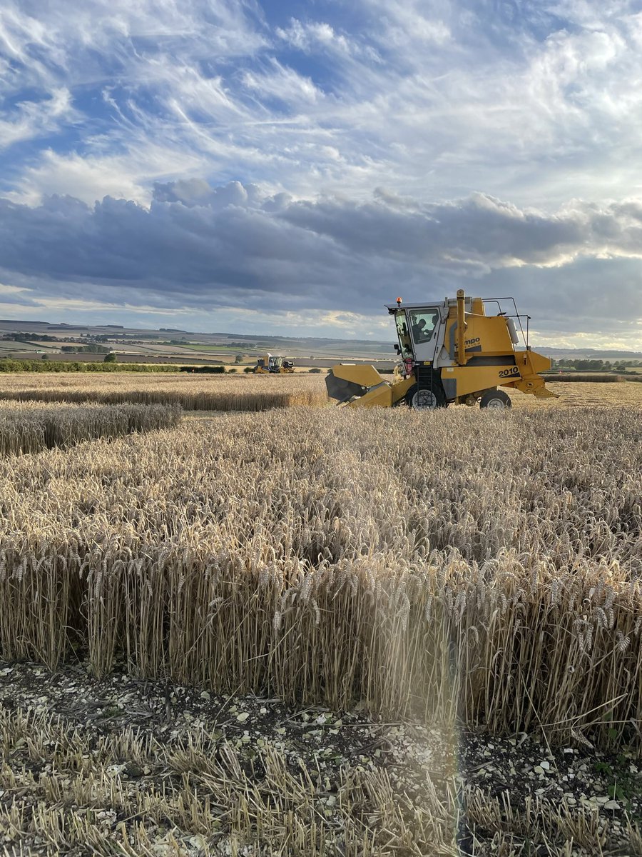 ADAS_Mowthorpe's tweet photo. Both combines out in full force yesterday evening🌾 @TrialsEquipment #uktrials #harvest23 https://t.co/dYW0KrS58b