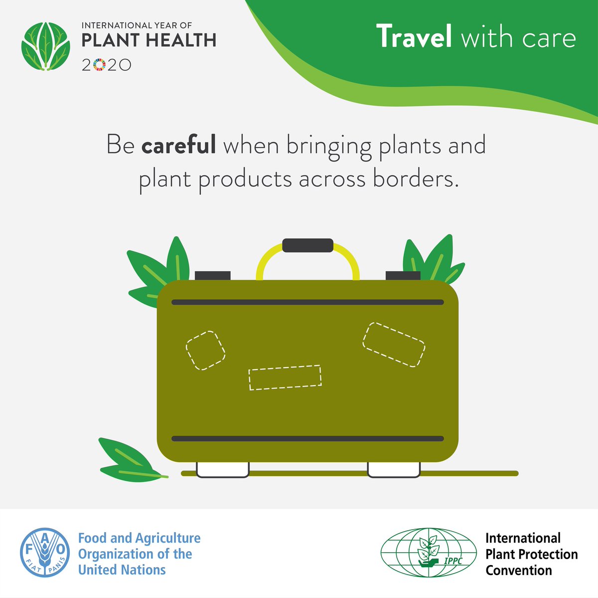 ⚠️ Remember when u travel🧳✈️ like for #Covid_19 you can bring plant diseases 🦠!! So be responsible and buy #certified #pathogen free #plants 🌱  or seeds <a href="/icpp2023/">ICPP2023</a> #ICPP2023 #phytopathology