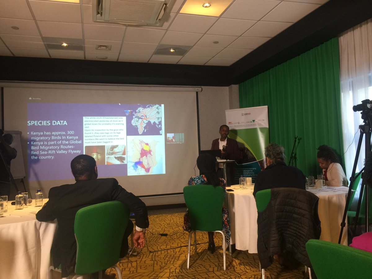 BirdLife Africa (@birdlifeafrica) on Twitter photo <a href="/gachpaulo/">Paul Gacheru</a> highlights the impact of infrastructure developments on conservation at the inaugural media science cafe hosted by <a href="/MeshaScience/">MESHA Science</a> and Regional Conservation Leaders <a href="/Nature_Kenya/">Nature Kenya - the EANHS</a> <a href="/ABCGconserve/">ABCG</a>
#conservationsciencecafe #ABCGScienceCafe <a href="/gachpaulo/">Paul Gacheru</a> highlights the impact of infrastructure developments on conservation at the inaugural media science cafe hosted by <a href="/MeshaScience/">MESHA Science</a> and Regional Conservation Leaders <a href="/Nature_Kenya/">Nature Kenya - the EANHS</a> <a href="/ABCGconserve/">ABCG</a>
#conservationsciencecafe #ABCGScienceCafe