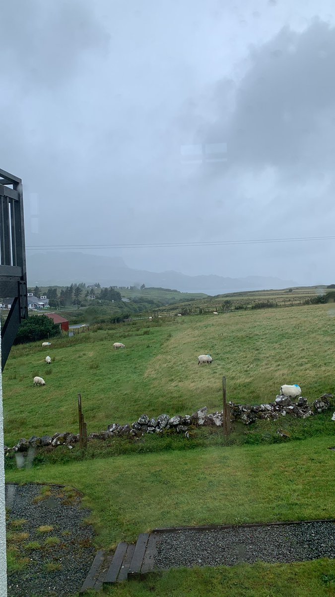 Miss Porter tweet media